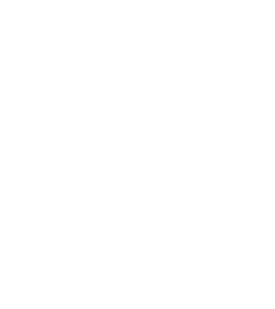 Login button