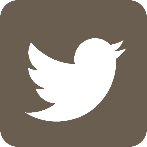 Icon of twitter