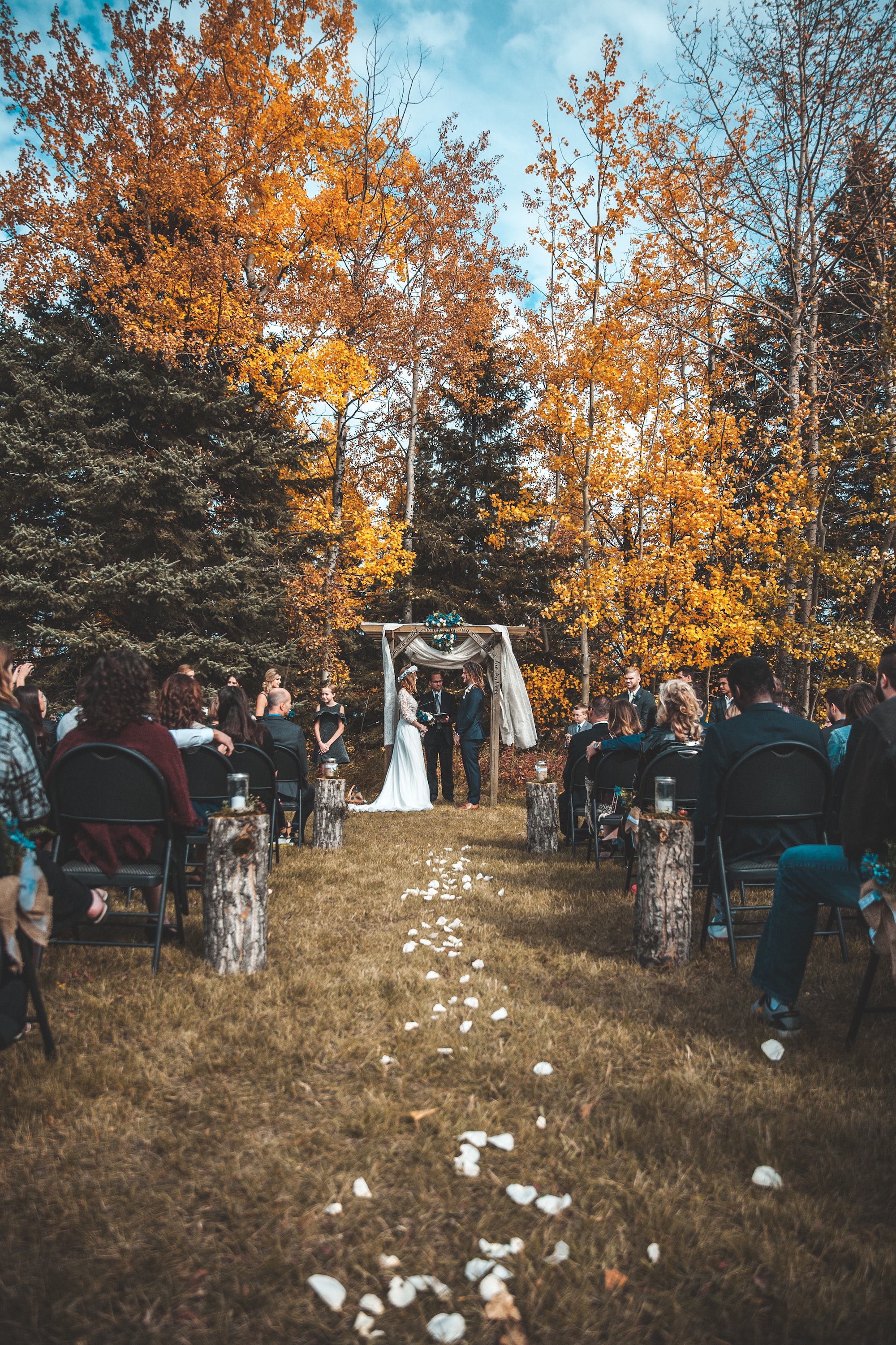 Gallery of Wedding photos 11