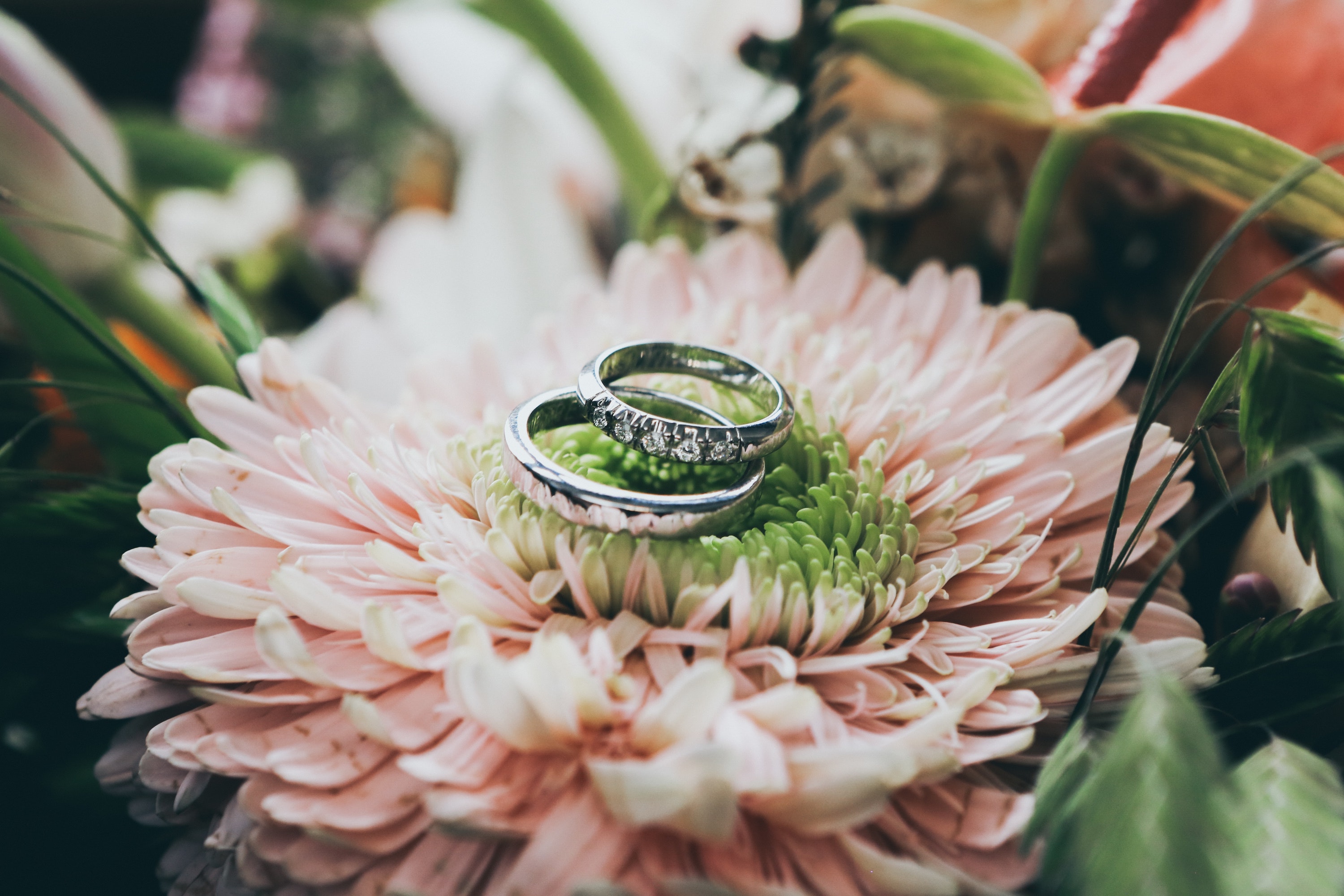 Gallery of Wedding photos 22